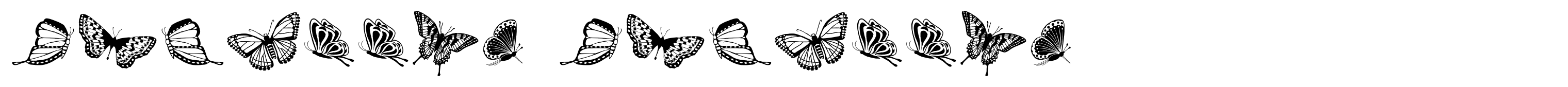 Papillon Papillon